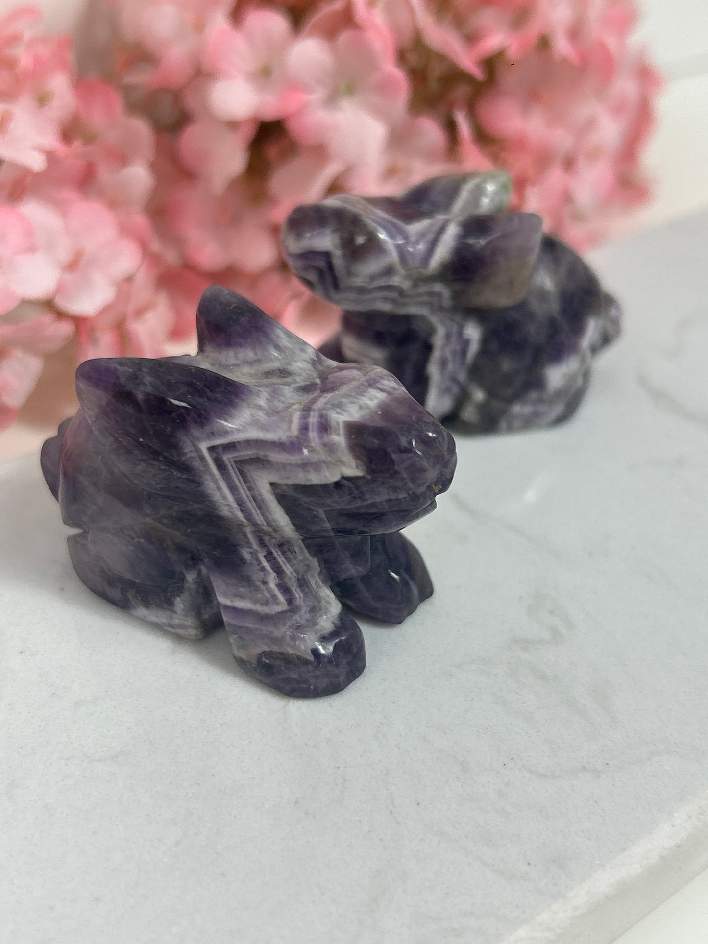 Amethyst Hase