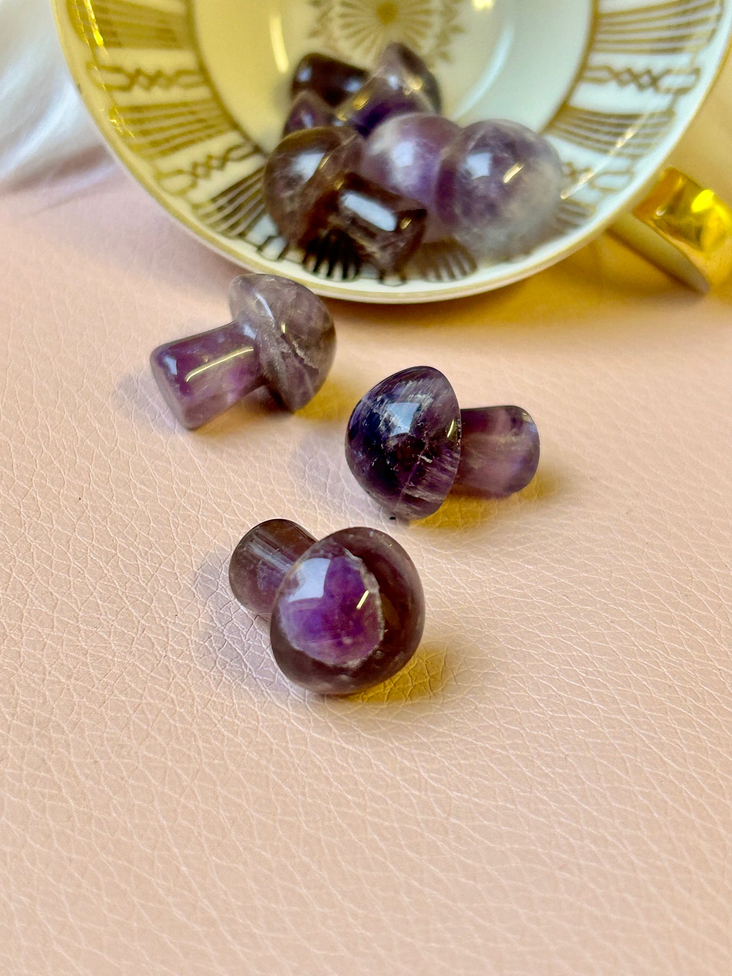 Amethyst Pilz