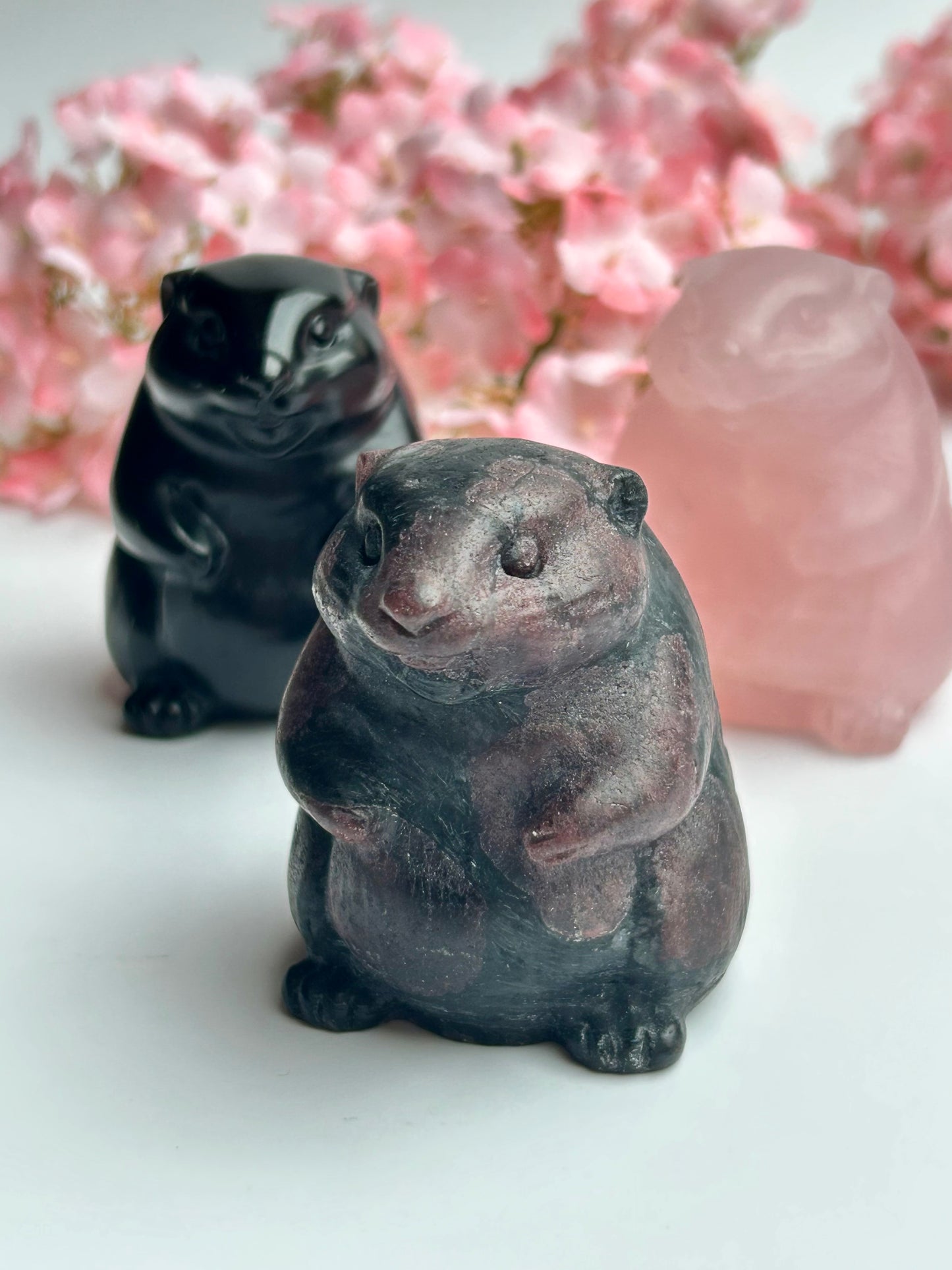 Murmeltier Carving